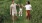 a family walking through a field